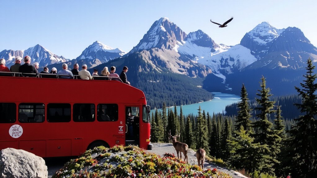 Alberta Senior Bus Tours: Exploring Canada's Wild West alberta wildlife photography etiquette