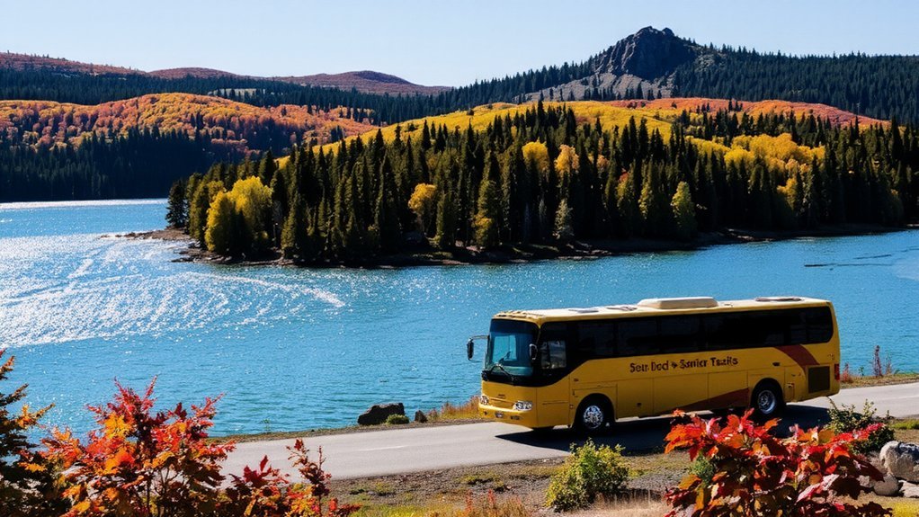 lakeside wildlife through coach