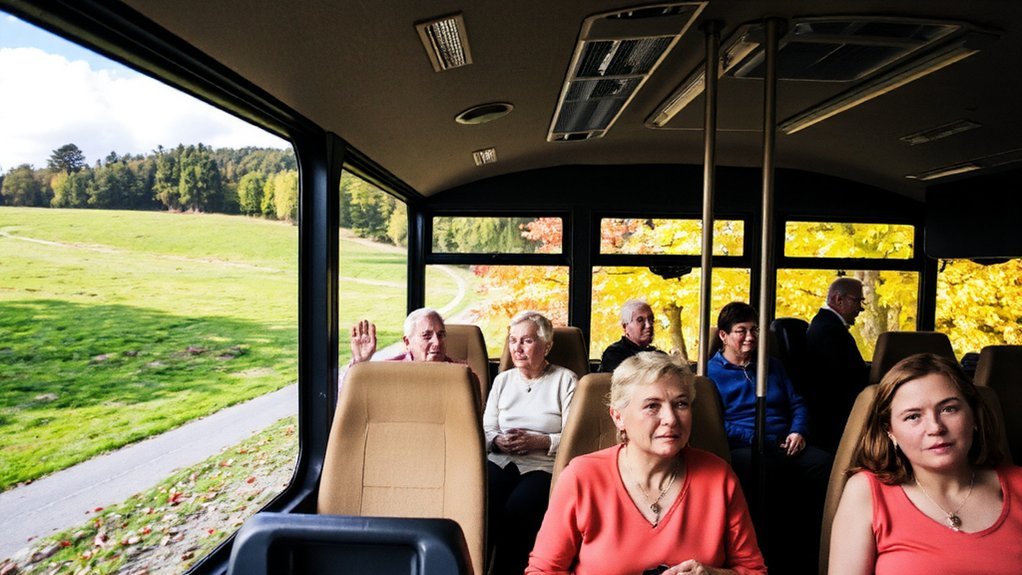 pillow layers snacks medications