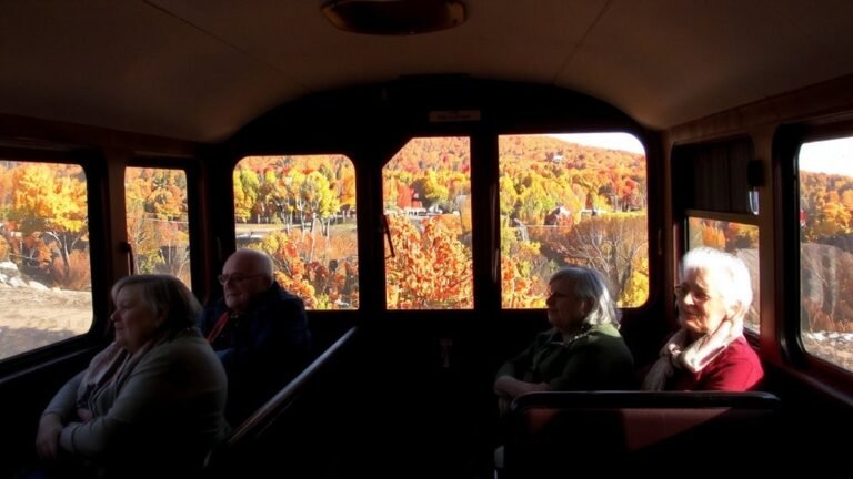 senior autumn foliage tours