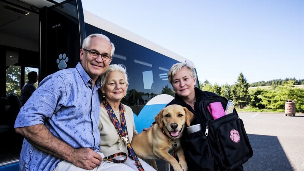 senior pet travel pack
